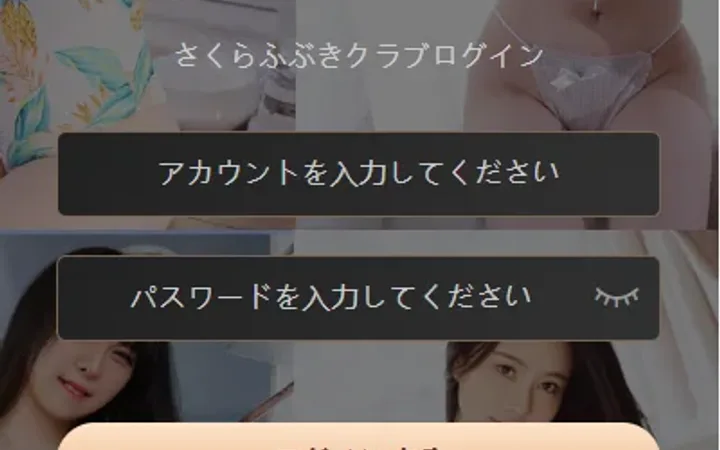 海外同城约炮空降任务/日本空降系统/前端vue 封面